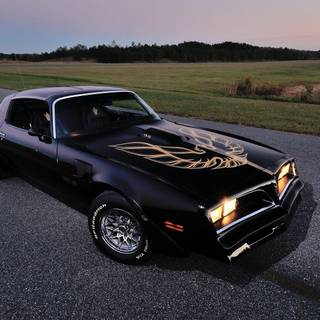 1979 pontiac HD wallpaper