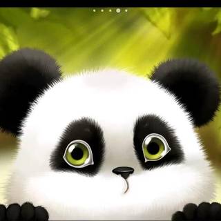 HD wallpaper panda anime