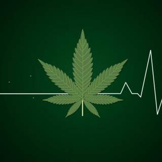 Wallpaper peace green