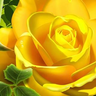 Lattest wallpaper images