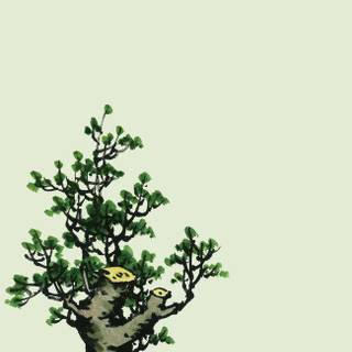 Ancient Chinese backgrounds