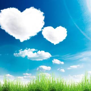 Nature love wallpaper