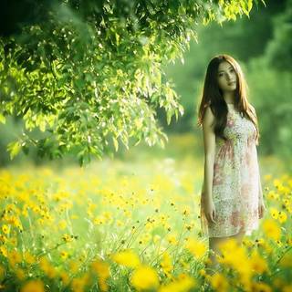 Nature love wallpaper