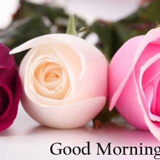 Cute good morning wallpaper