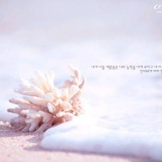 Praying bible verses wallpaper