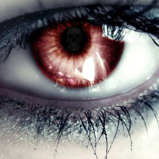 Blue-green eyes wallpaper