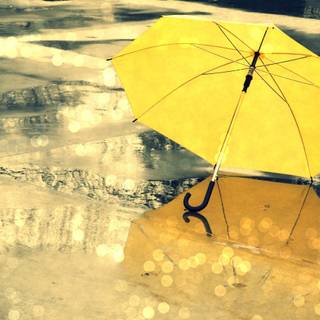Wallpapers umbrella