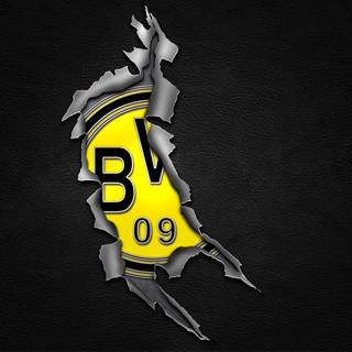 Bvb background