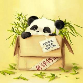 Baby panda cartoon wallpaper