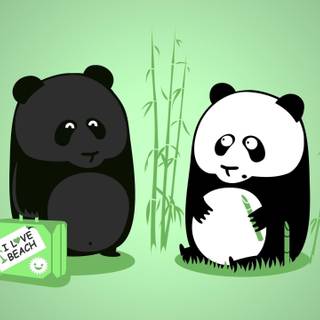 Panda cartoon background