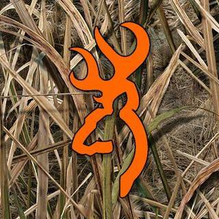 Mossy oak wallpaper for walls