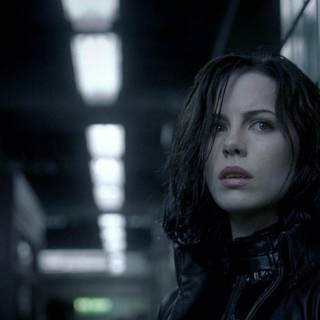 Kate beckinsale wallpaper panda