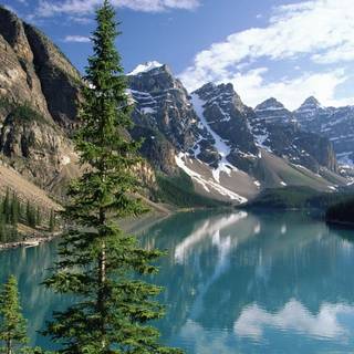 Cool HD nature wallpaper