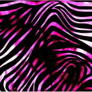 HD rainbow cheetah print wallpaper