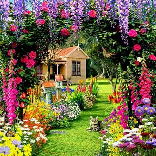 Wallpaper HD flower garden