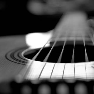 Taylor guitar HD wallpaper