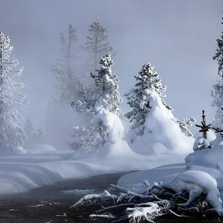 Snow fall wallpaper