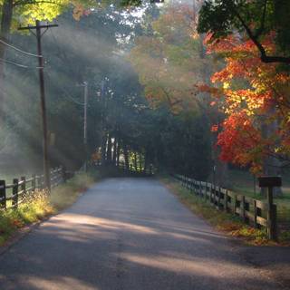 New background wallpaper