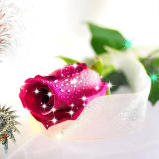 New loving wallpaper