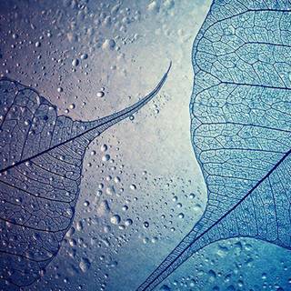 Samsung Galaxy HD wallpaper