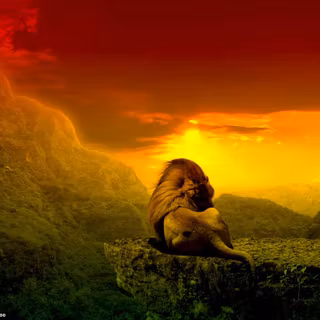 Wallpaper full HD rasta