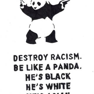 Racist wallpaperpanda