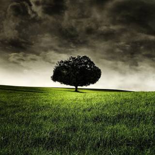 Background images nature dark