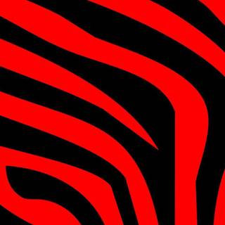 Black zebra print wallpaper