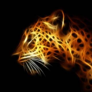 Wallpaper 3D leopard