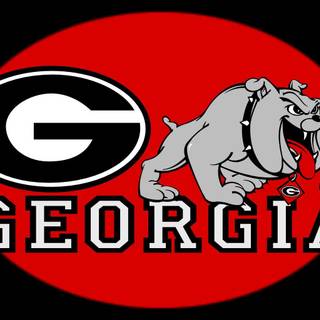 University of Georgia wallpaper