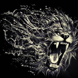 Wallpaper full HD lion