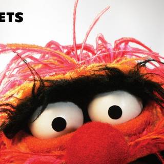 Animal muppets wallpaper