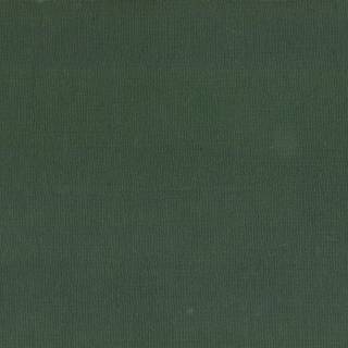 Dark green texture background