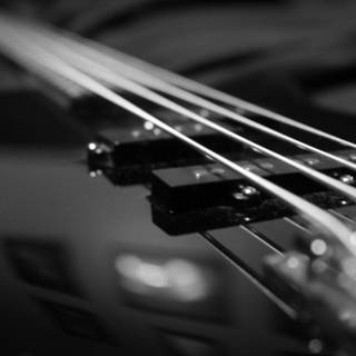 Bass background