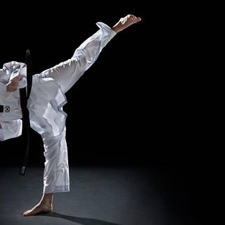 Judo wallpaper HD