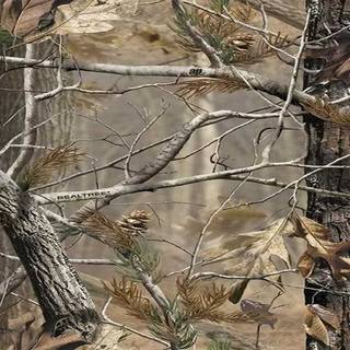 Realtree camo background
