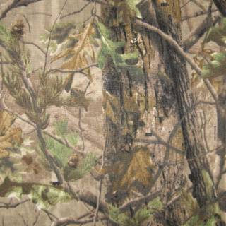 Realtree camo background