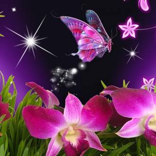 Beautiful purple butterfly wallpaper