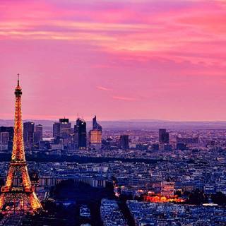 Paris wallpaper colour purple