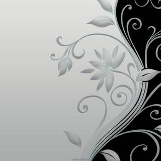 White colour HD wallpaper