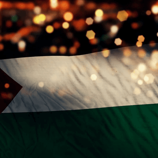 I love palestine flag wallpaper