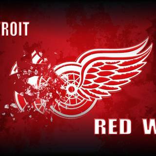 Nhl detroit red wings wallpaper
