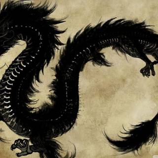 Dragon wallpaper black