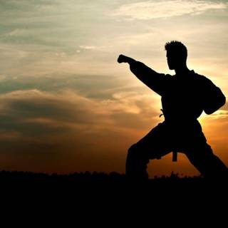 All Karate HD wallpaper