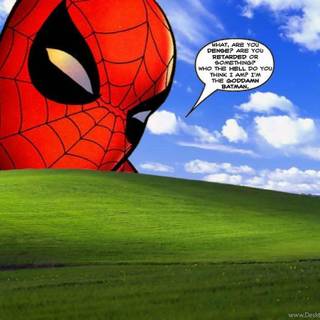 Windows wallpaper funny