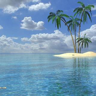 Hi res tropical wallpaper