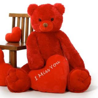 Teddy missing you wallpaper