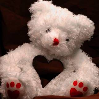 Teddy missing you wallpaper