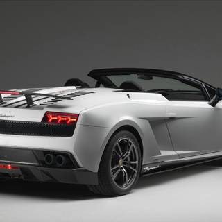 Wallpaper gallardo