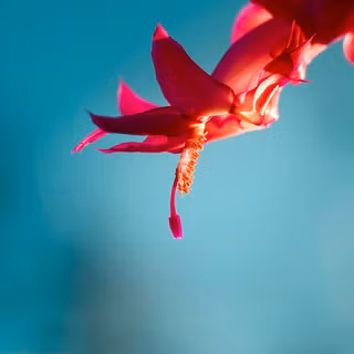 Background windows 8 gothic